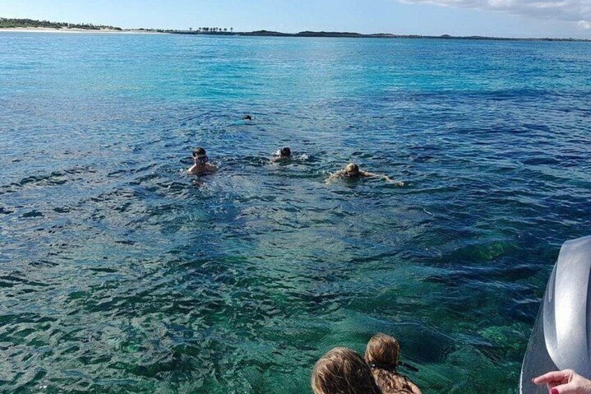 Un grupo de personas nadando en agua azul cristalina, con una costa al fondo. 3