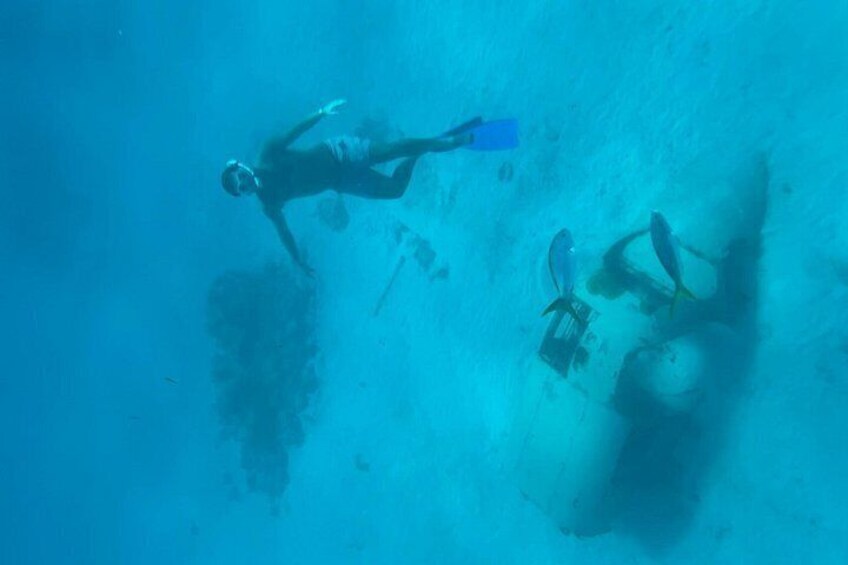 Dos buzos debajo del agua con equipo de buceo. 4