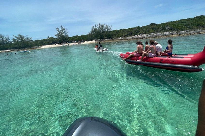 Half-Day Luxury Private Rose Island Pigs and Turtles Excursion 3