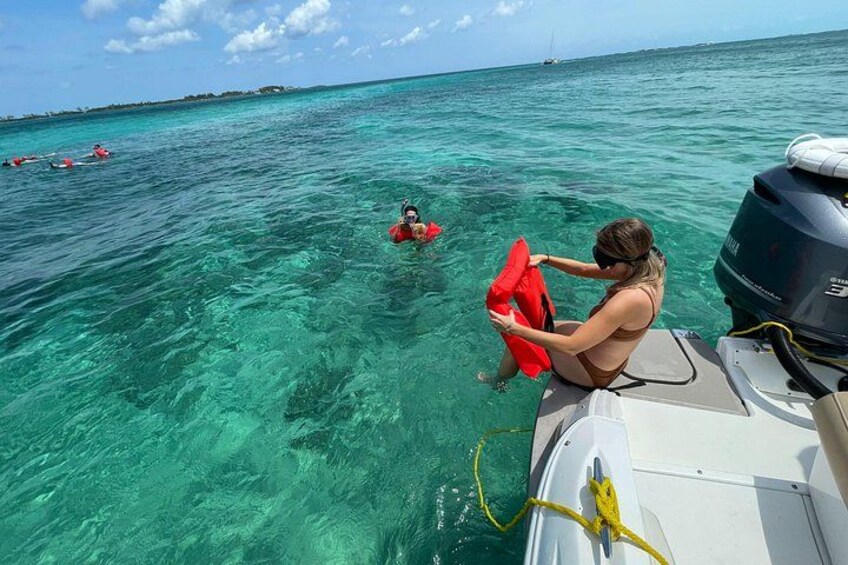 Half-Day Luxury Private Rose Island Pigs and Turtles Excursion 2