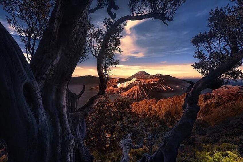 From Yogyakarta: Mount Bromo Sunrise and ijen crater Blue Fire - 3 Days 