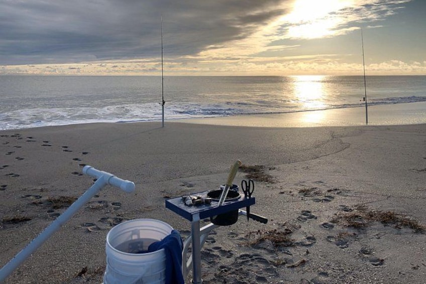 Shark and Fishing Ultimate Combo Beach Fishing Excursion 4 Hrs 4