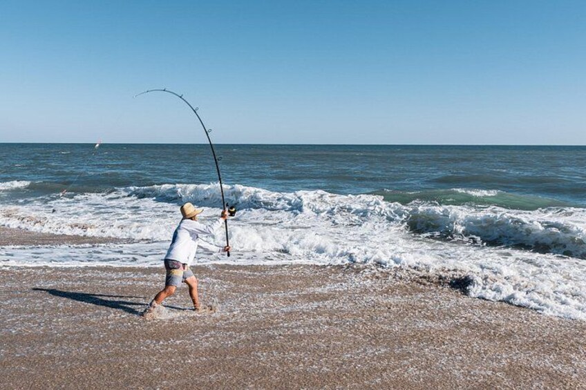 Shark and Fishing Ultimate Combo Beach Fishing Excursion 4 Hrs 5