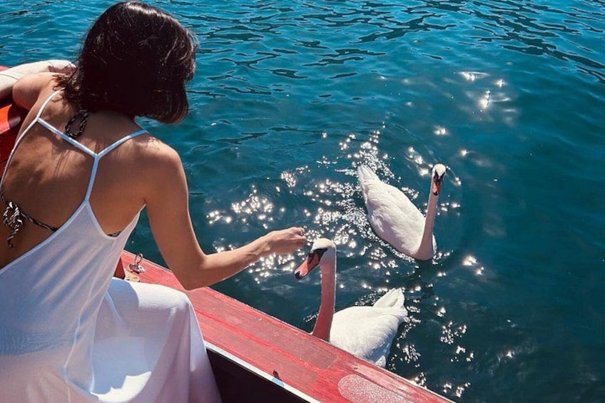 Eine Person in einem weißen Kleid auf einem Boot, die mit einem Schwan im Wasser interagiert. 2