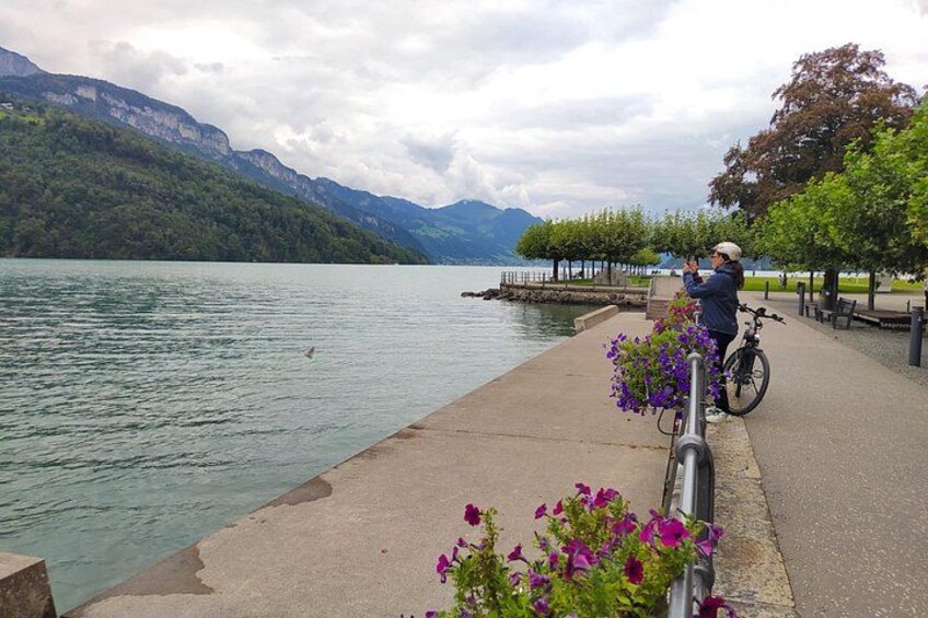 Panoramic E-Bike Tour with a Lake Cruise 2
