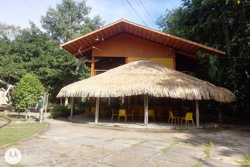 Tour at the MUSA – Amazon Museum in Manaus Amazon Experience 4