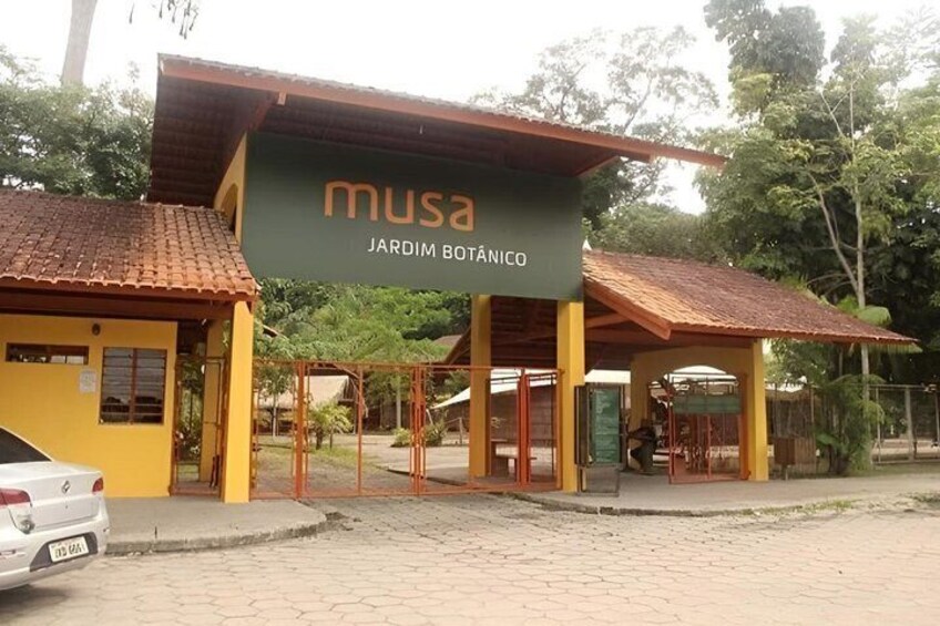 Tour at the MUSA – Amazon Museum in Manaus Amazon Experience 5