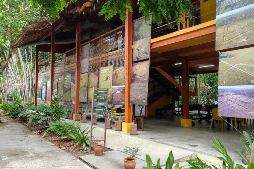 Tour at the MUSA – Amazon Museum in Manaus Amazon Experience 3