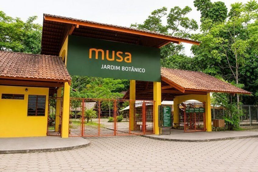 Tour at the MUSA – Amazon Museum in Manaus Amazon Experience 1