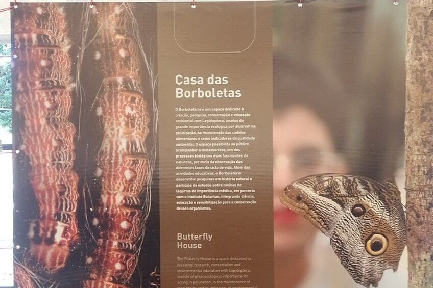 Tour at the MUSA – Amazon Museum in Manaus Amazon Experience 2