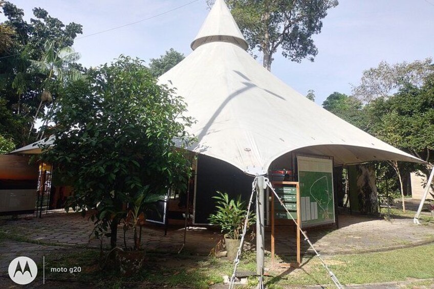 Tour at the MUSA – Amazon Museum in Manaus Amazon Experience 5