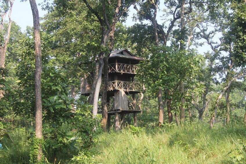 Een houten boomhut midden in een bos. 1