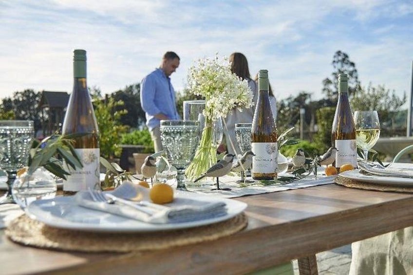 Casas del Bosque Vineyard with Lunch Menu included from Santiago 3