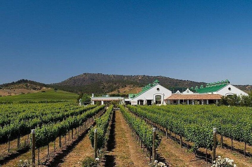Casas del Bosque Vineyard with Lunch Menu included from Santiago 1