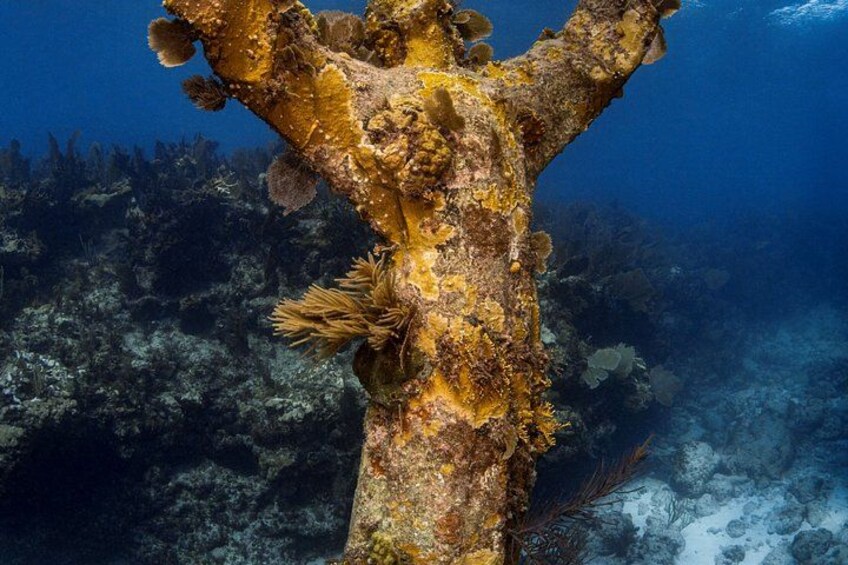 Key Largo 2-Tank Boat Dive for Certified Divers 3