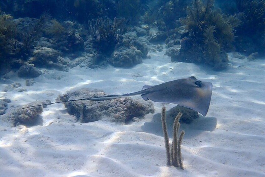Key Largo 2-Tank Boat Dive for Certified Divers 3