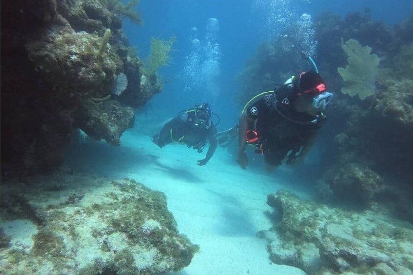 Key Largo 2-Tank Boat Dive for Certified Divers 2