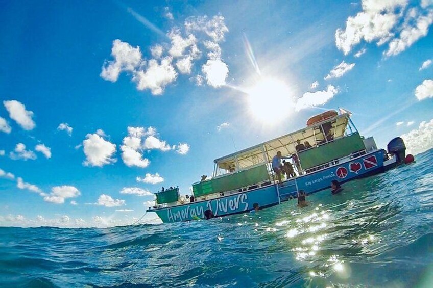 Key Largo 2-Tank Boat Dive for Certified Divers 2
