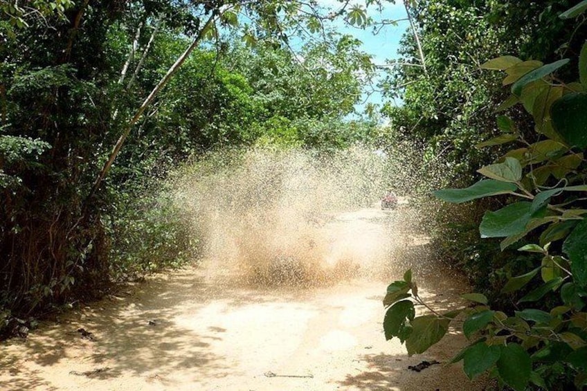 Private ATV Jungle & Cenote Adventure 3