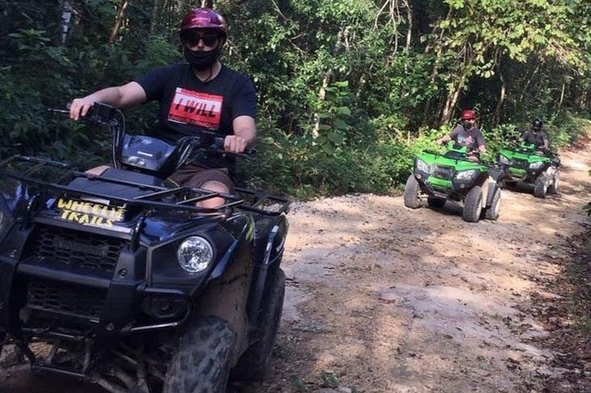 Private ATV Jungle & Cenote Adventure 2