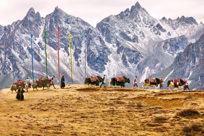 Landing Everest Base Camp Kalapathar by Helicopter with Breakfast 4