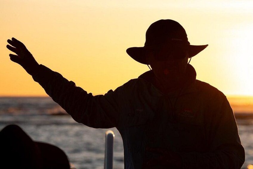 A person in a hat and jacket standing with arms outstretched, silhouetted against a sunset. 5