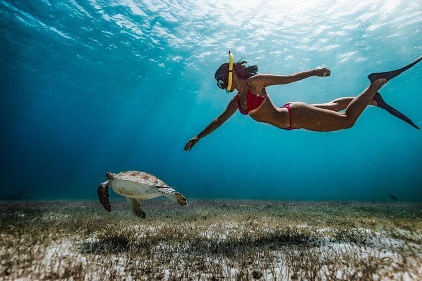 A person snorkeling underwater with a sea turtle. 2