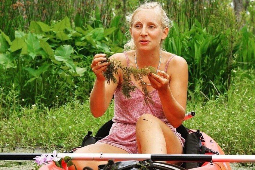 New Orleans Self-Guided Kayak Bayou Swamp Tour 4