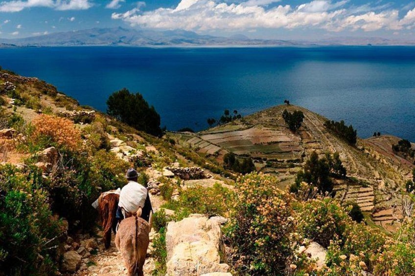 Full Day Guided Tour in Copacabana and Isla del Sol 2