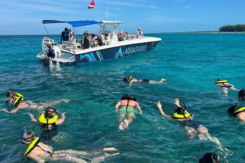 Bahamas Adventure: Pigs, Reef, Turtles, and Beach with Lunch 5