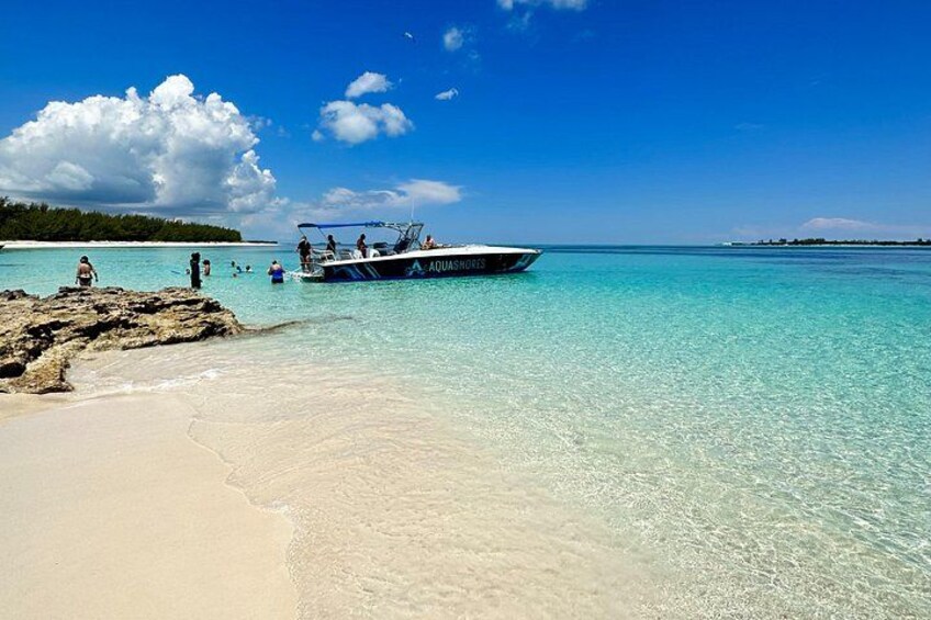 Bahamas Adventure: Pigs, Reef, Turtles, and Beach with Lunch 4