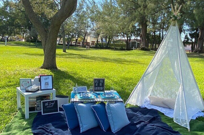 Luxury Picnic Experience in Amelia Earhart Park