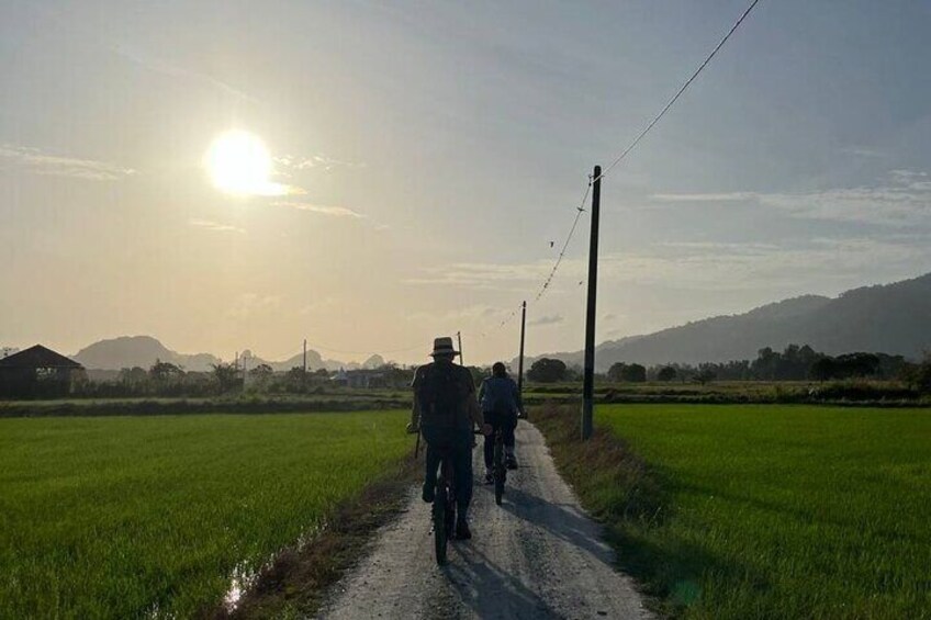 A rural road with a person and a child walking, surrounded by green fields and a clear sky. 2