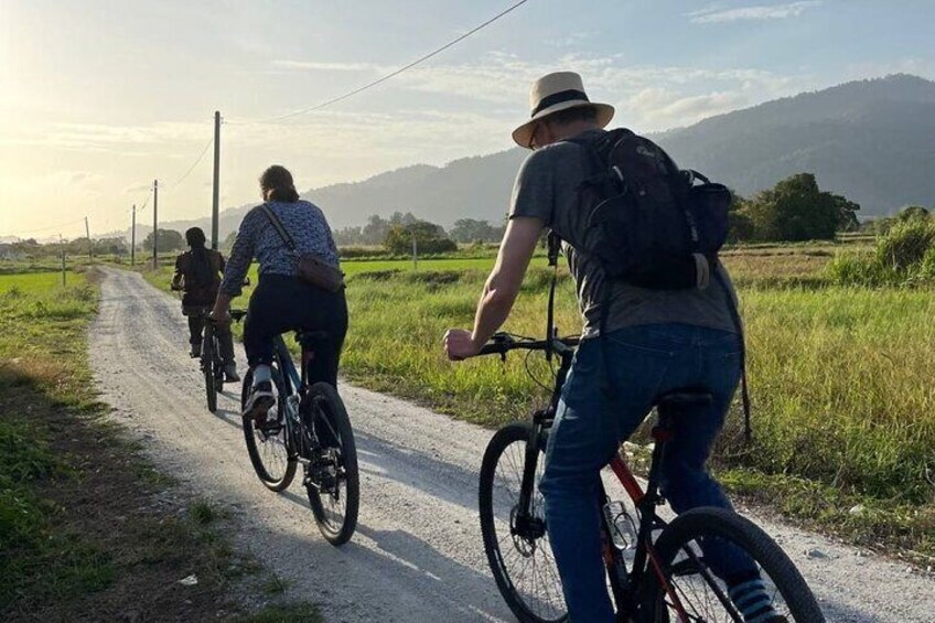 A group of cyclists on a rural road with fields and mountains in the background. 4
