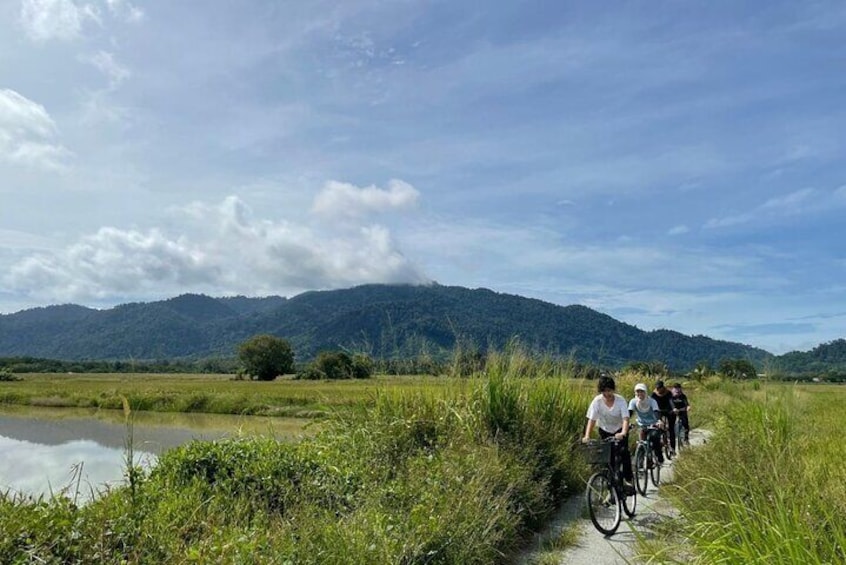 Country Side Biking 1