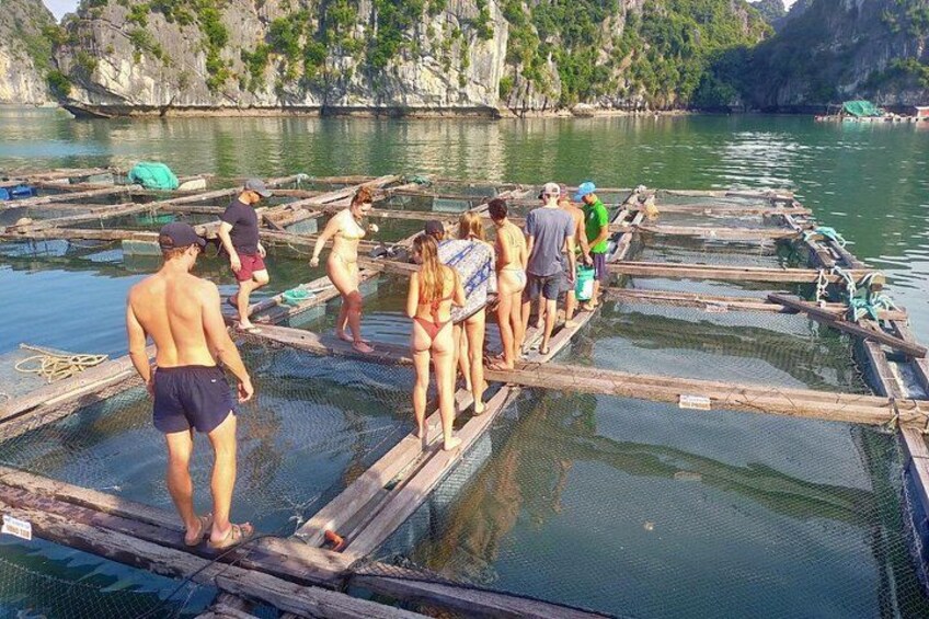 visiting a local fish farm 3
