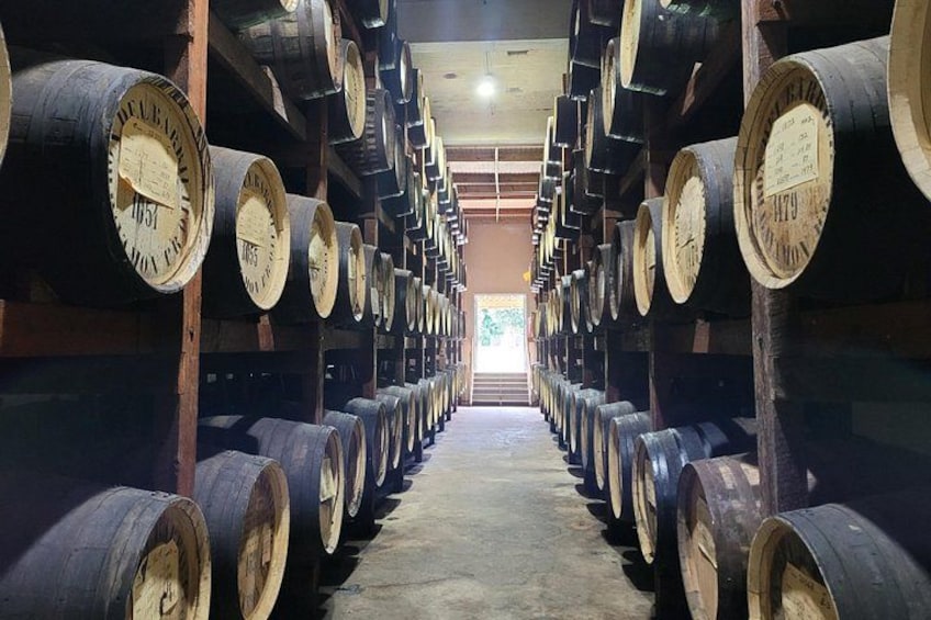 A warehouse with rows of wooden barrels. 5