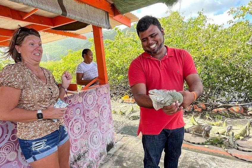 Tour guide should a guest an iguana 2