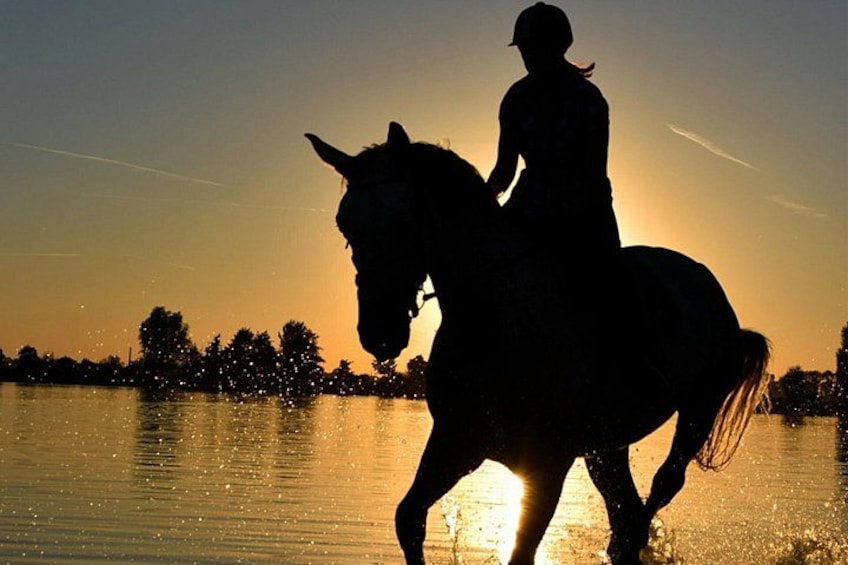 Silueta de una persona montando a caballo al atardecer. 2