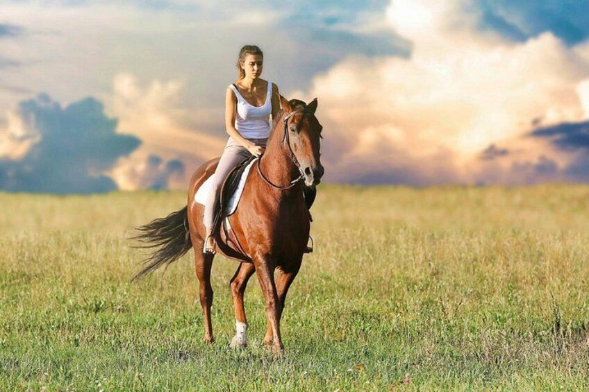 Una persona montando a caballo en un campo cubierto de hierba, con un cielo nublado al fondo. 4