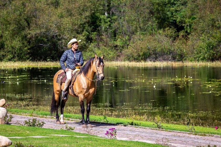 Una persona montando a caballo cerca del agua, con un bosque de fondo. 3