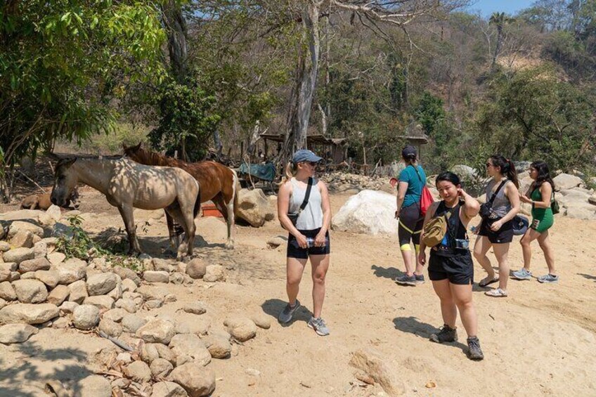 Quimixto Waterfall Hike and Boat Ride