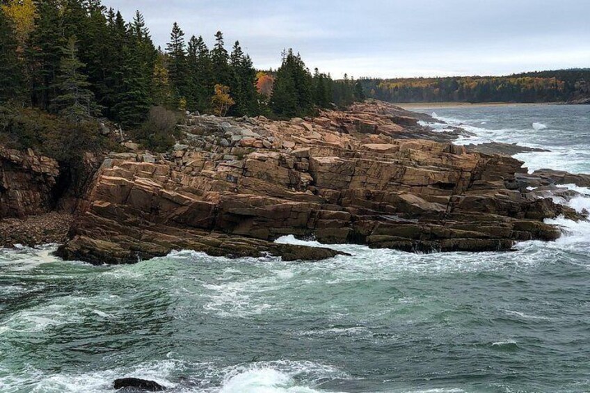 A rocky coastline with waves crashing against the rocks, surrounded by dense forest. 3