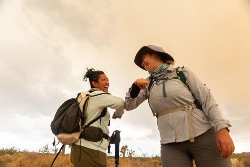 Full-Day Hiking Tour in Joshua Tree National Park