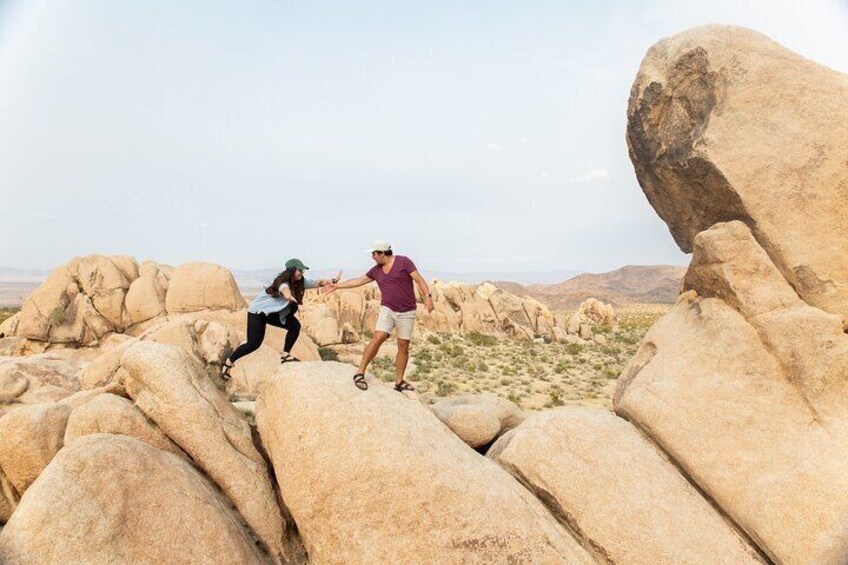 Full-Day Hiking Tour in Joshua Tree National Park