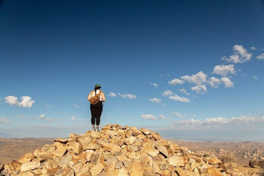 Full-Day Hiking Tour in Joshua Tree National Park