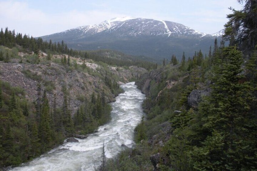 Une rivière qui traverse une vallée boisée, avec une montagne enneigée en arrière-plan. 3
