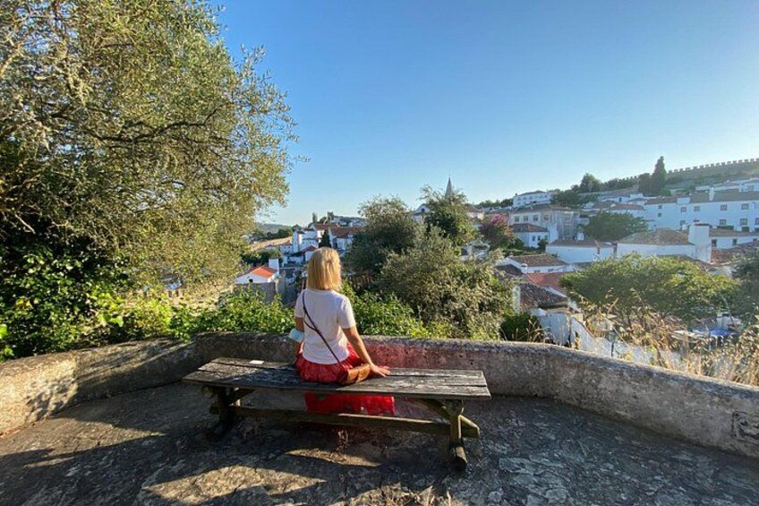 View point in Obidos 3