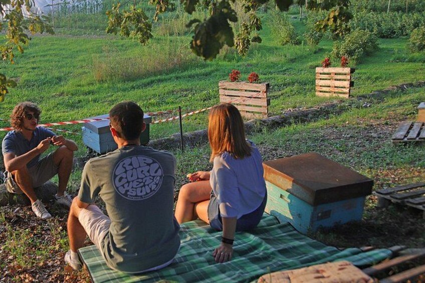 Beekeeping Farm Tour and Tasting Experience in Lazise 2