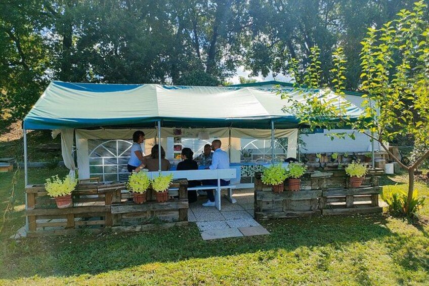 Beekeeping Farm Tour and Tasting Experience in Lazise 5